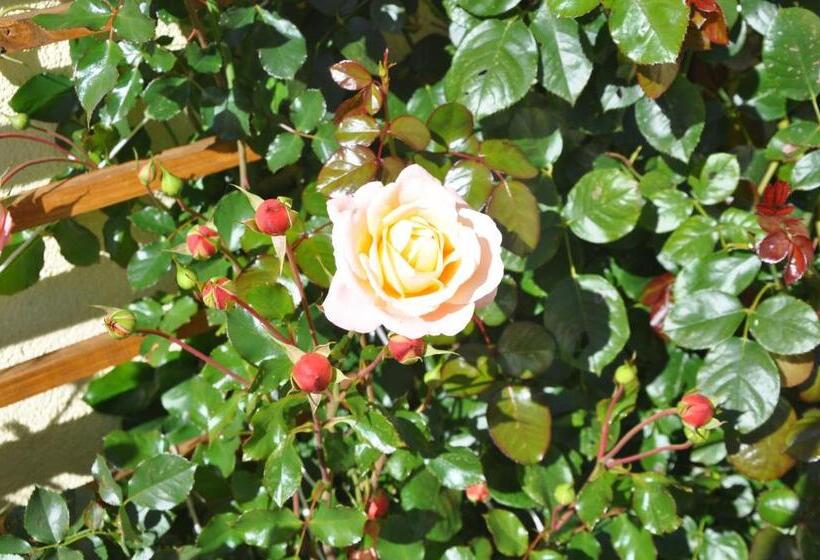 ホテル Bauernhof Haim Schnepfleitner