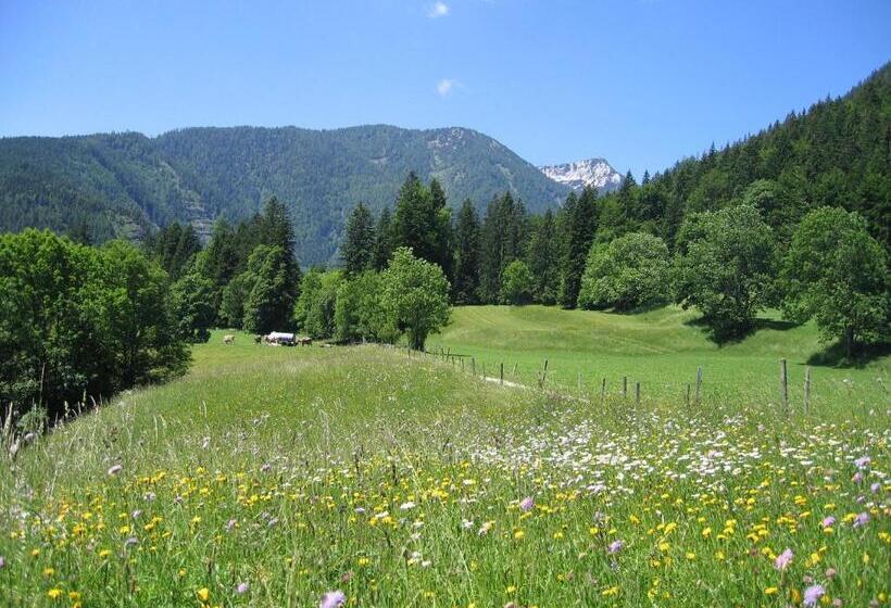 ホテル Bauernhof Haim Schnepfleitner