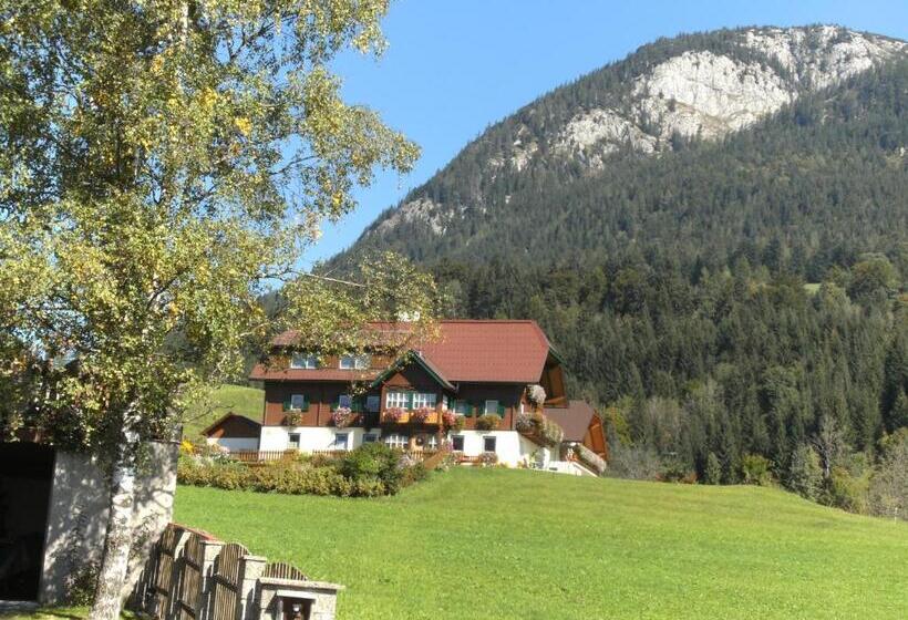 هتل Bauernhof Haim Schnepfleitner