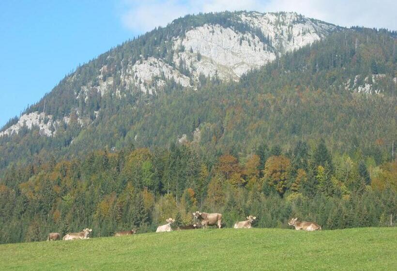 ホテル Bauernhof Haim Schnepfleitner