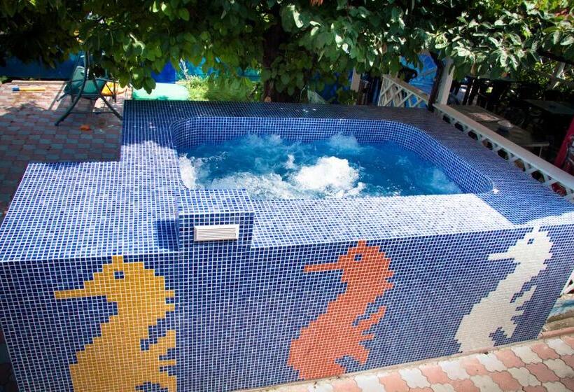 בית מלון כפרי Blue Lagoon