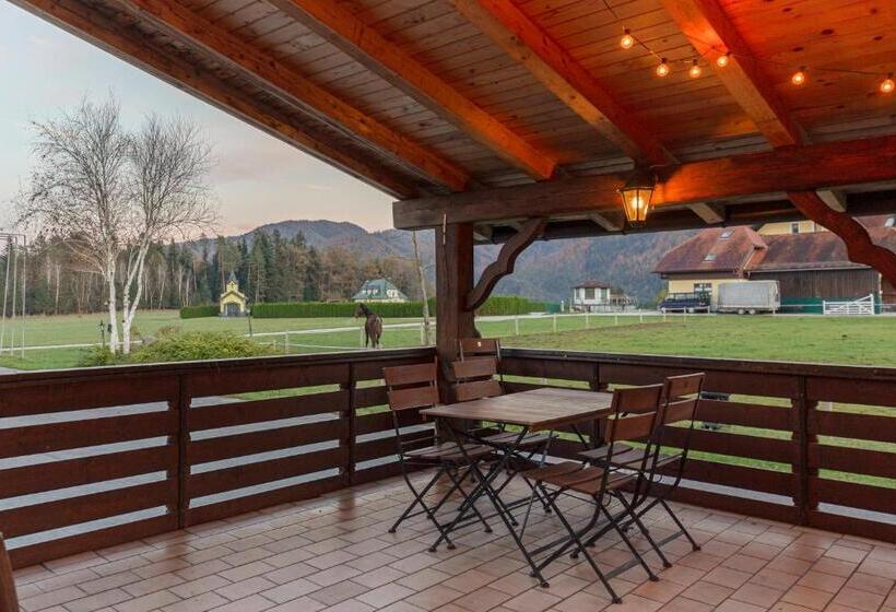 هتل Burger Veniše