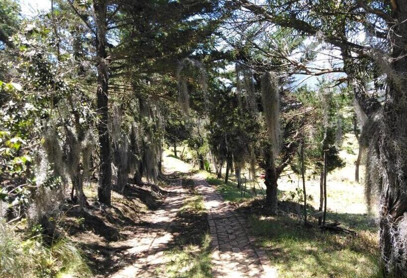 فندق Campestre Los Duraznos