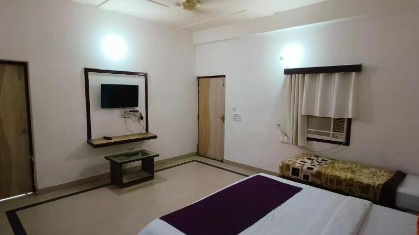 Отель The Golden Bird