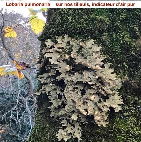 Отель Le Vizzavona