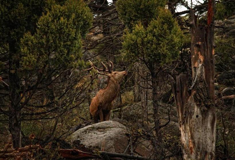 Hotel Piedra Pintada