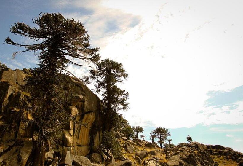 Hotel Piedra Pintada