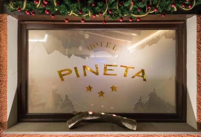 فندق Pineta
