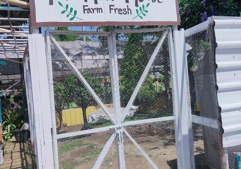 Отель See Sky Resort