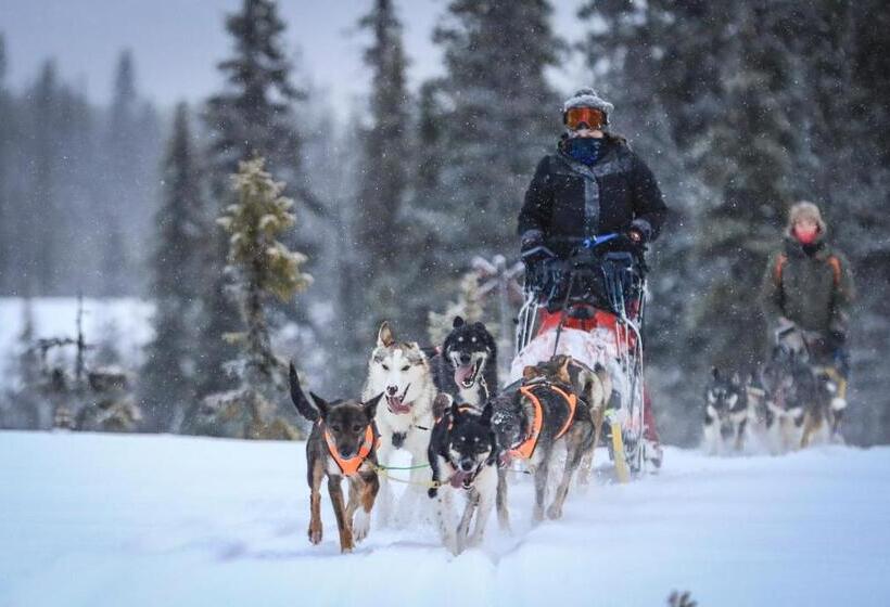 Отель Svansele Gård