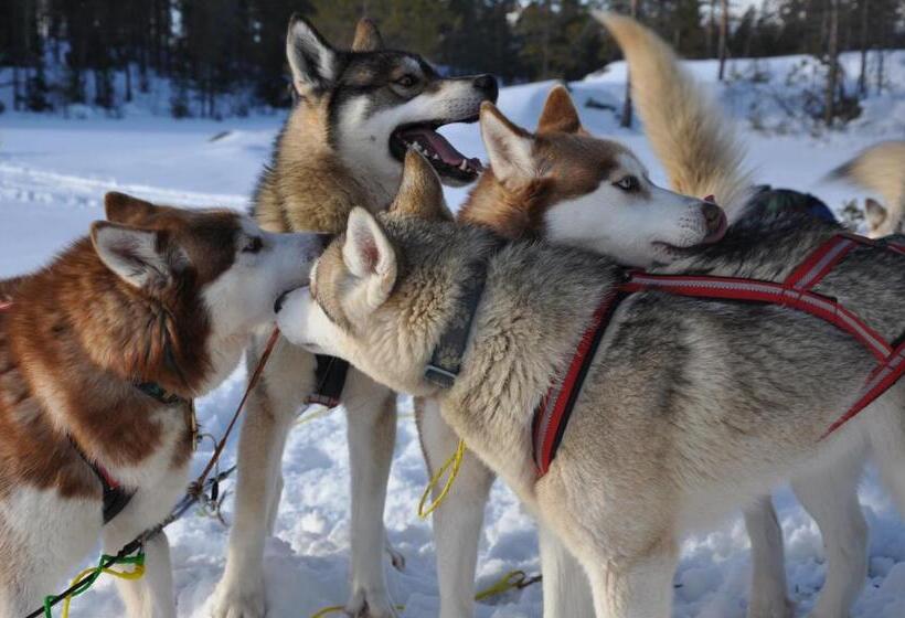 Отель Svansele Gård