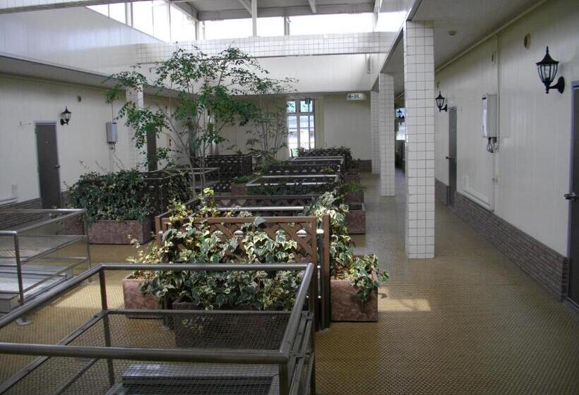 בית מלון כפרי Taiheiyo