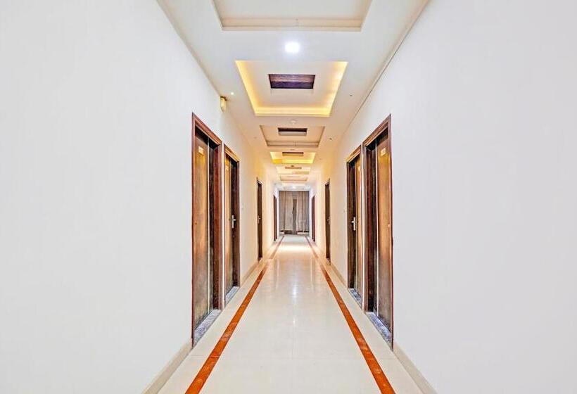 Отель The Golden Bird