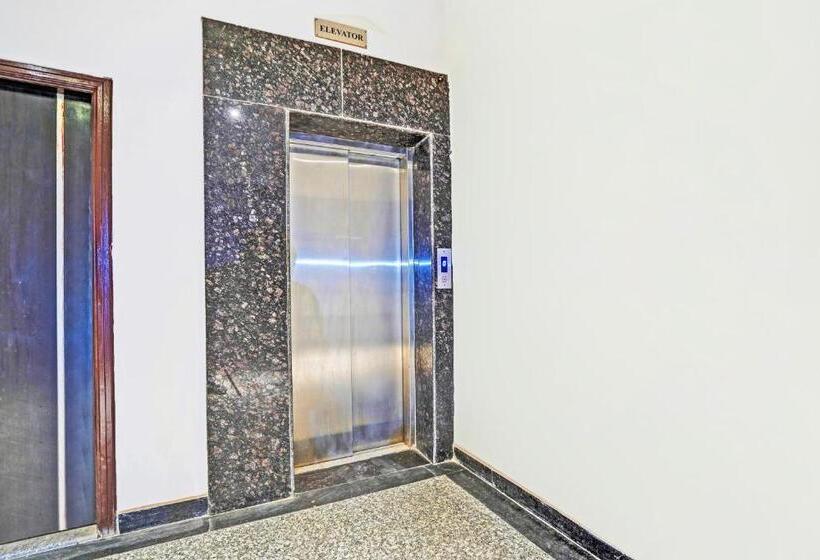 Отель The Golden Bird