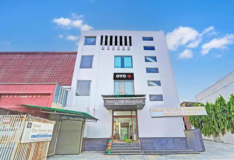 Отель The Golden Bird