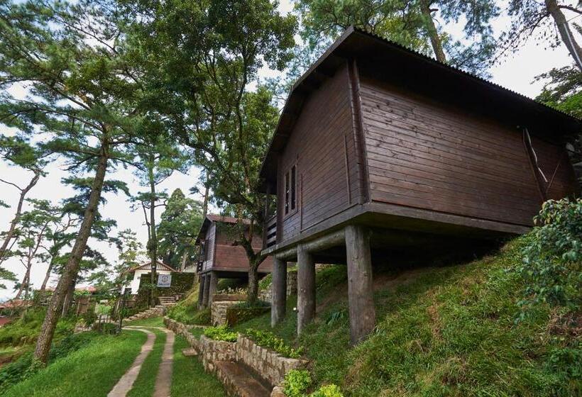 Отель The Heritage Club Tripura Castle