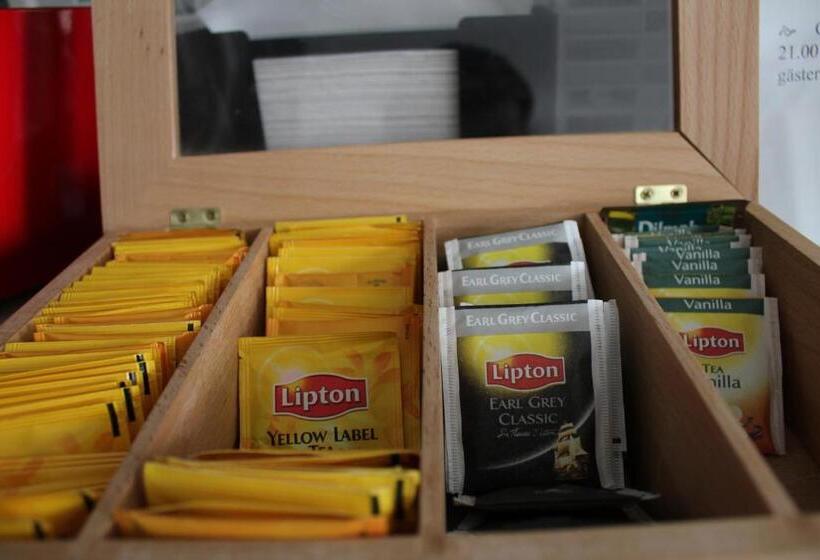 בית מלון כפרי Tre Stockar