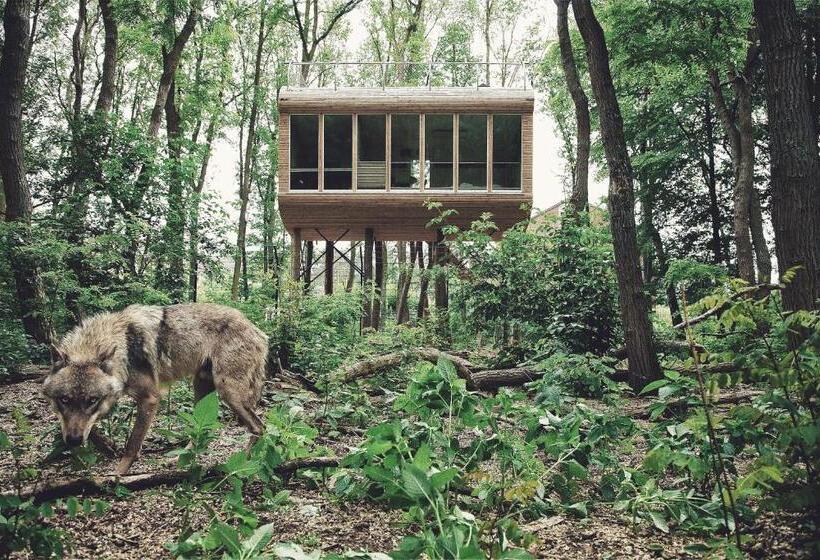 בית מלון כפרי Tree Inn   Das Baumhaus