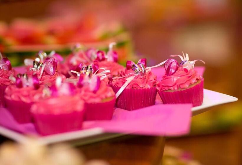 בית מלון כפרי U Loubů