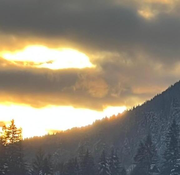 پانسیون гостинний двір стефані