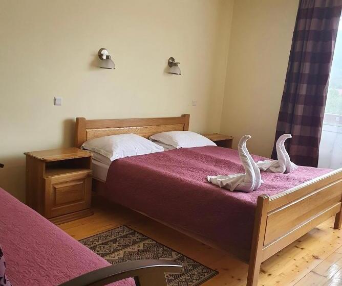 پانسیون гостинний двір стефані