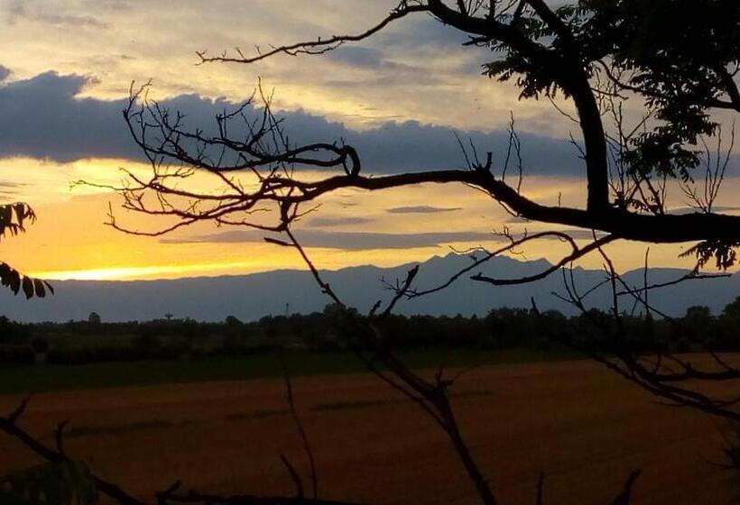 بنسيون Ca  Del Tajo