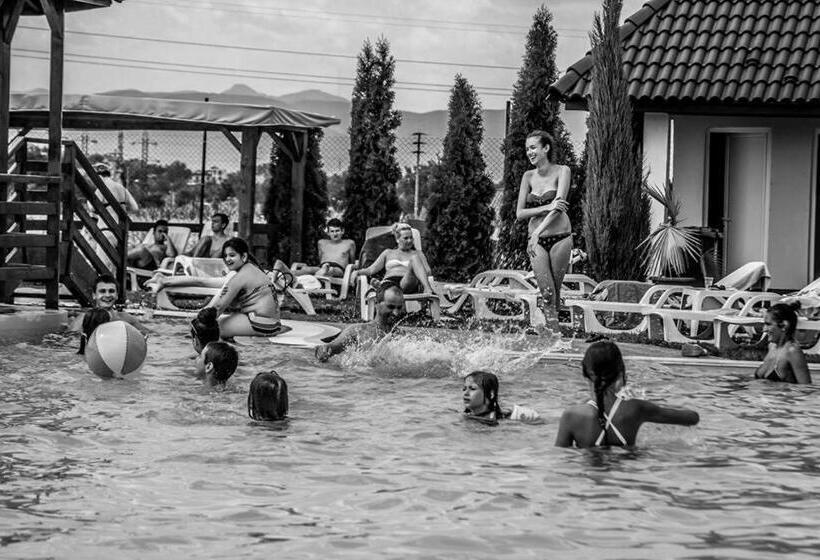 膳宿费 Complex Daniel S