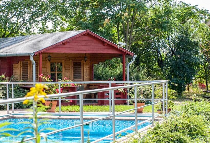 بنسيون Dunai Gyöngy Vendégház