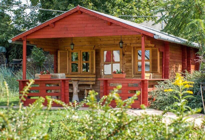 بنسيون Dunai Gyöngy Vendégház