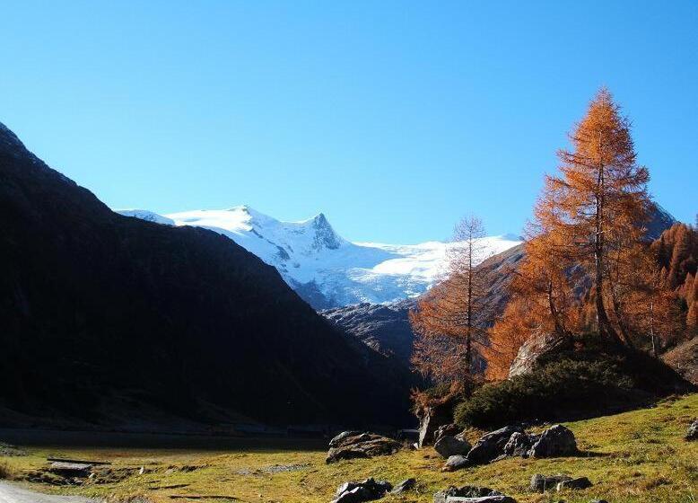 پانسیون Ferienwohnungen Pötscher Maria