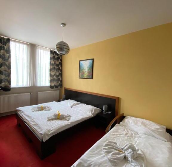 膳宿费 Guest House Penzión Fortuna