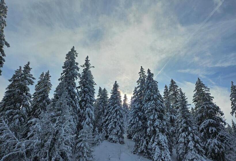 Пансион Hôtel Restaurant Du Marchairuz