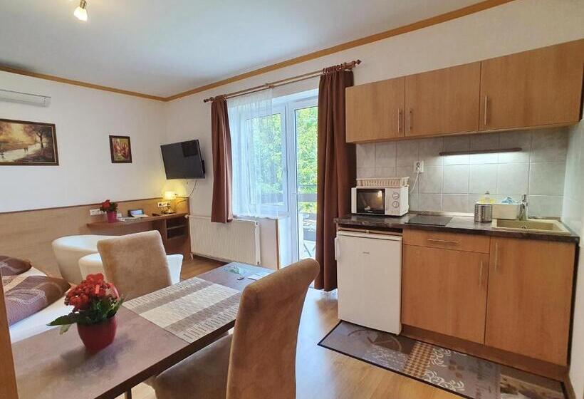 膳宿费 Hévíz Villa Familia