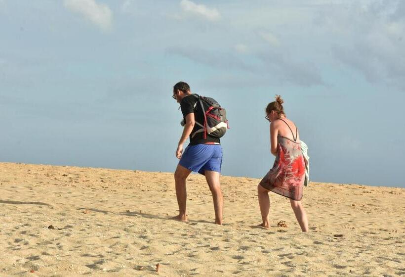 Пансион King S Elephant Cabanas & Restaurant