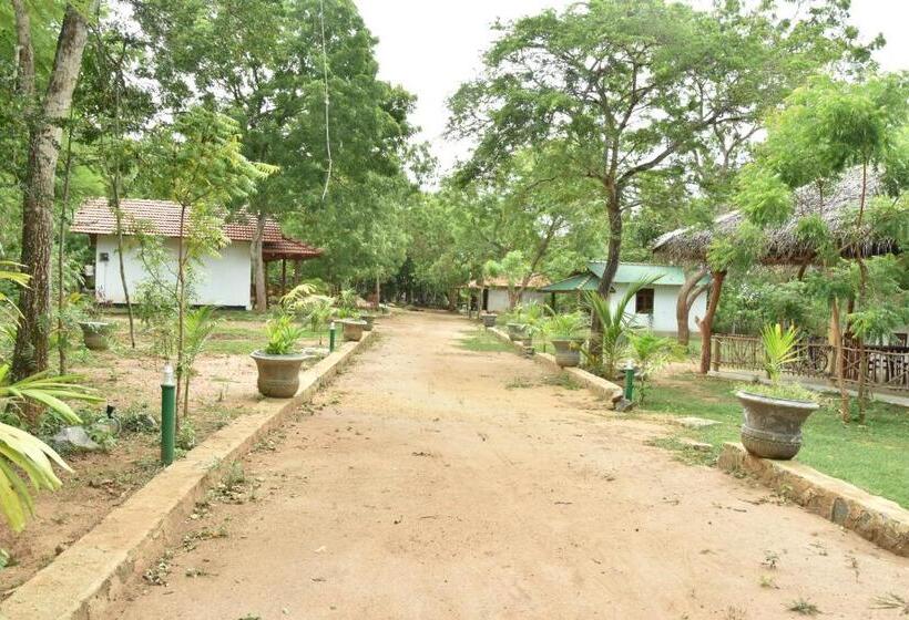 Пансион King S Elephant Cabanas & Restaurant