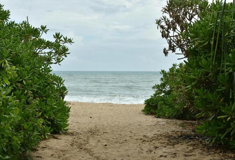 Пансион King S Elephant Cabanas & Restaurant