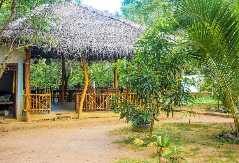 Пансион King S Elephant Cabanas & Restaurant