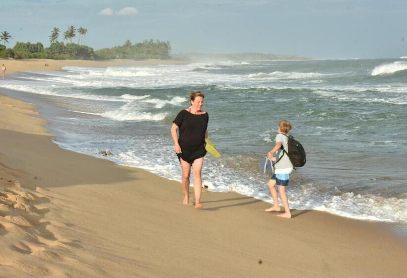 Пансион King S Elephant Cabanas & Restaurant