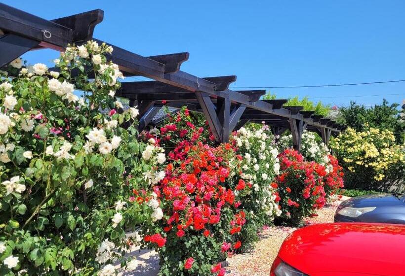 بنسيون Kys House