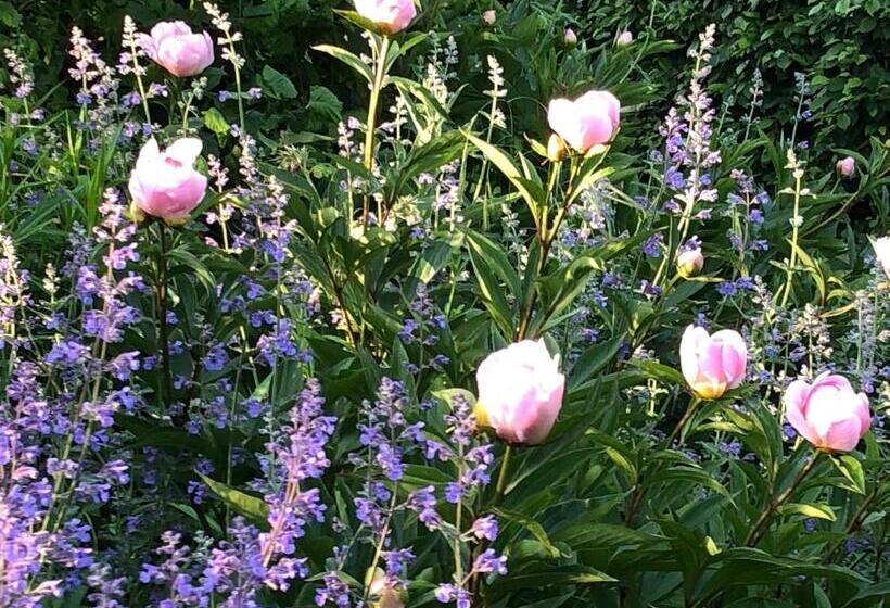 ペンション La Fournio