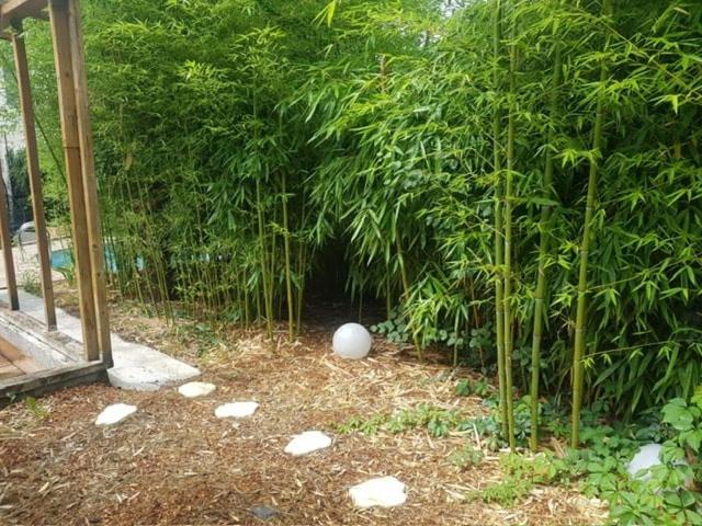 ペンション La Maison D Agnés