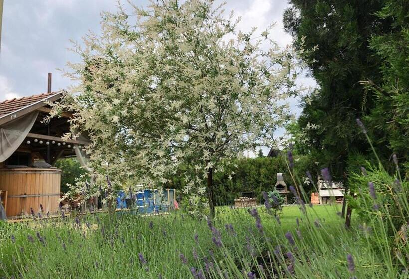 ペンション Mamaison