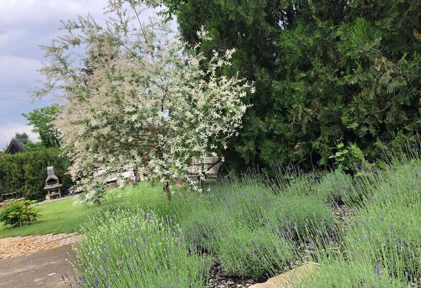 ペンション Mamaison