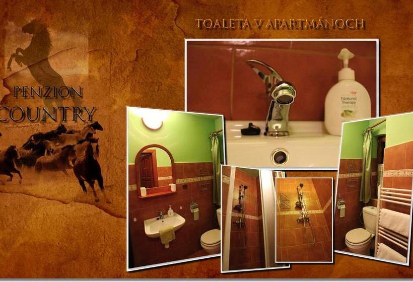 פנסיון Penzión Country
