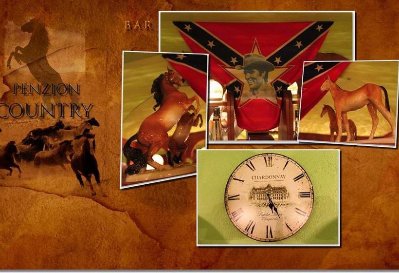 פנסיון Penzión Country