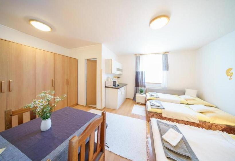 膳宿费 Penzión U Marsa