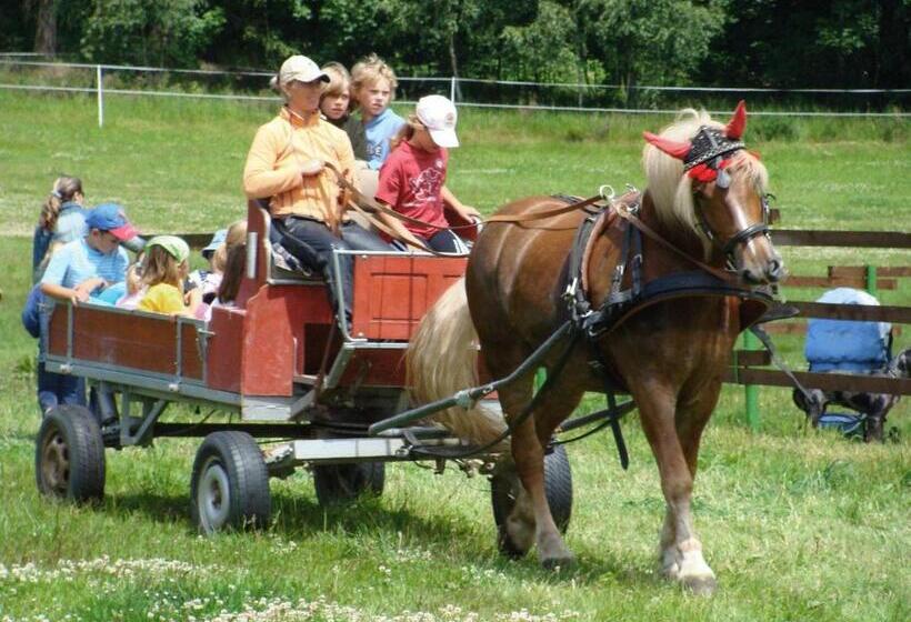 بنسيون Penzion Anna