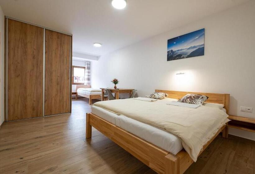 펜션 Penzion Kamzik A Drevenica