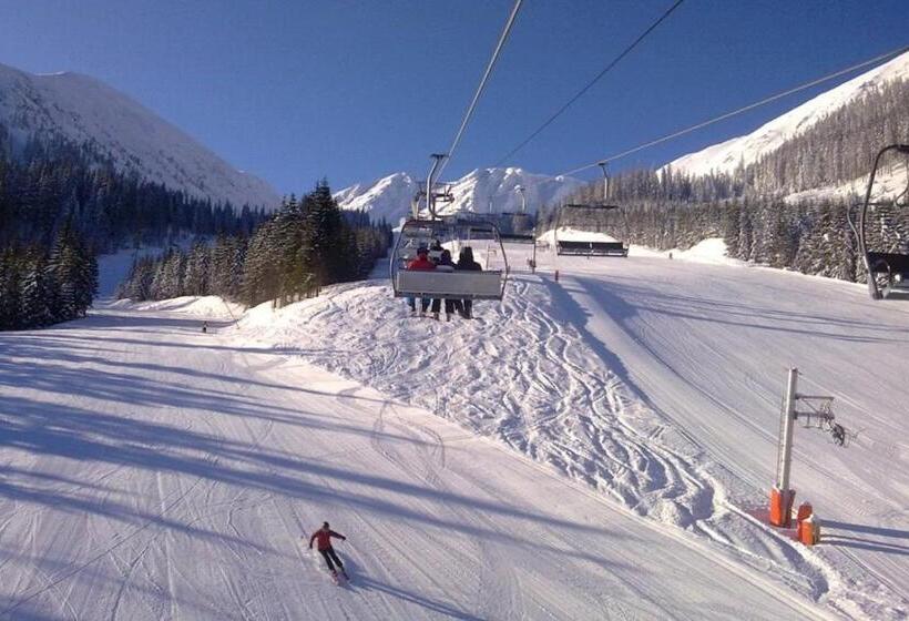 펜션 Penzion Kamzik A Drevenica