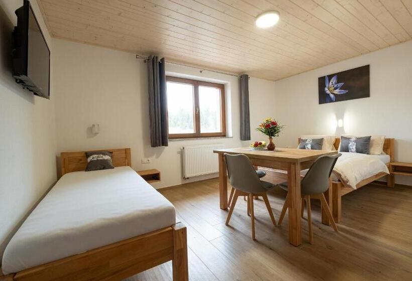 펜션 Penzion Kamzik A Drevenica